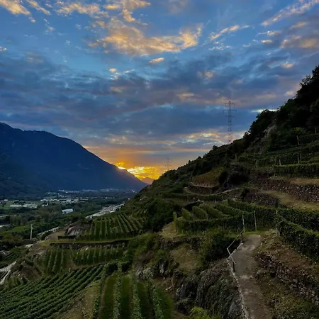Ca' Barroni - Vineyard Escape