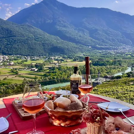 Ca' Barroni - Vineyard Escape مزرعة للإقامة