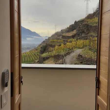 Ca' Barroni - Vineyard Escape
